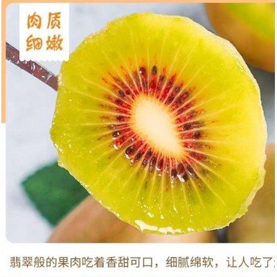 蒲江红心猕猴桃图2