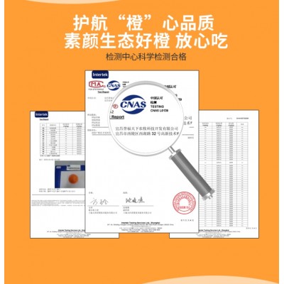 湖北秭归伦晚甜橙图5