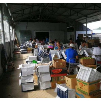 南果梨供应 南果梨批发 南果梨价格 南果梨礼盒图2