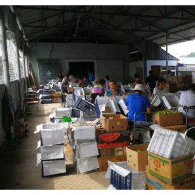 南果梨供应 南果梨批发 南果梨价格 南果梨礼盒图4