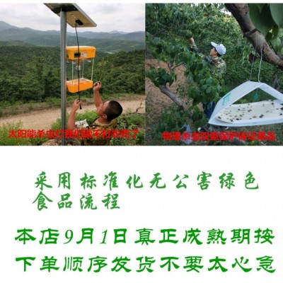 东北鞍山南果梨软梨水果5斤装礼盒南国梨梨子新鲜产地直供香水梨图5