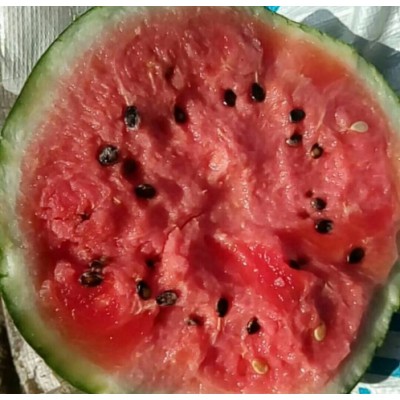 山东西瓜代办山东西瓜产地价格图2