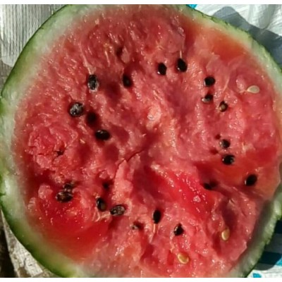 山东西瓜代办山东西瓜产地价格图4