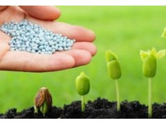 警惕！这种氮肥正在悄悄让土壤变“硬”