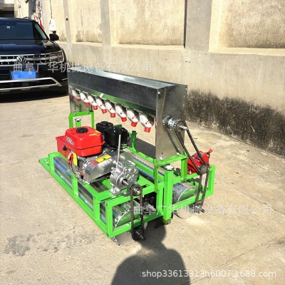 电动款蔬菜播种机 小颗粒种子药材精播机 自走式双排芹菜育苗机图3