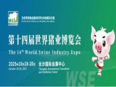 即将启幕 |“出海”正当时：中越猪业创新论坛开启合作新篇章