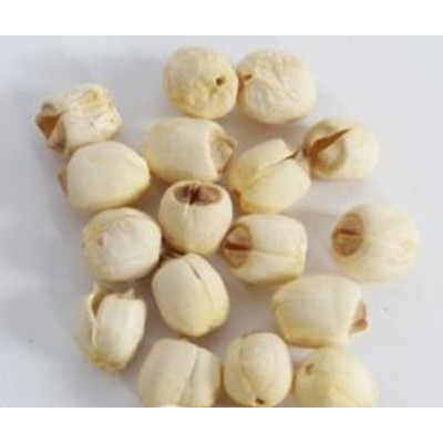 供应太空36号水果莲种苗莲子图2