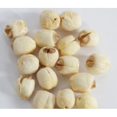 莲子太空莲36号图2