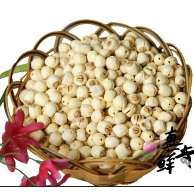 莲子太空莲36号图3