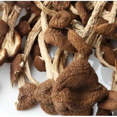 江西广昌野生茶树菇图2