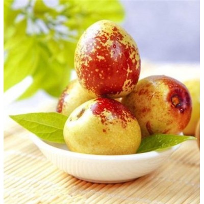 早熟鲜枣大量上市基地现摘现发货口感脆甜欢迎实地考察图2