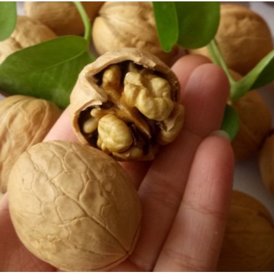 新疆薄皮核桃 厂家直供一手货源品质好价格低支持一件代发图2