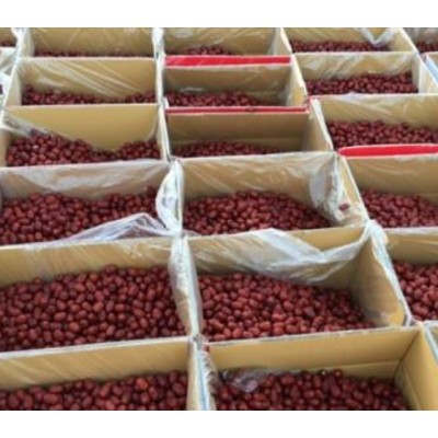 新疆红枣 春季促销 规格齐全 货源充足 量大从优图2