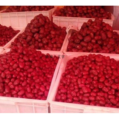 大量批发若羌灰枣 品质优良 全部一手货源图3