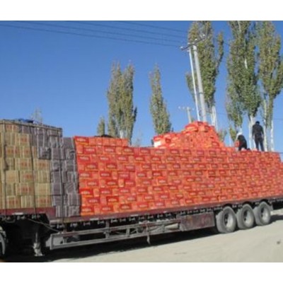 大量批发若羌灰枣 品质优良 全部一手货源图5