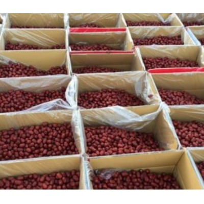 批发大量有货新疆若羌灰枣全部一手货源图4