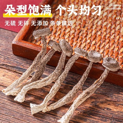 鹿茸菇干货云南食用菌菇特产煲汤脆脆菇厂家产地源头批发干货代发图2