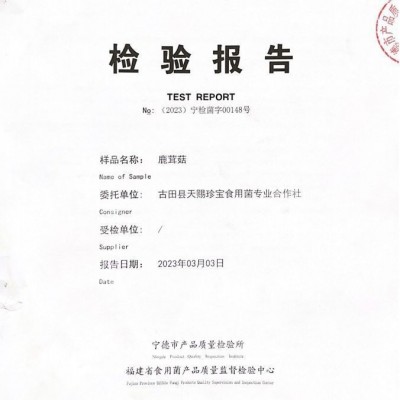 产地直供鹿茸菇碎干货批发鹿茸菌500g鹿茸菇碎片食用菌香菇煲汤图4