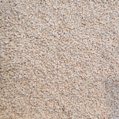 厂家供应杏鲍菇干货杏鲍菇四方丁脱水杏鲍菇粒菌菇干制品图5