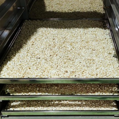 厂家供应杏鲍菇干货杏鲍菇四方丁脱水杏鲍菇粒菌菇干制品图2