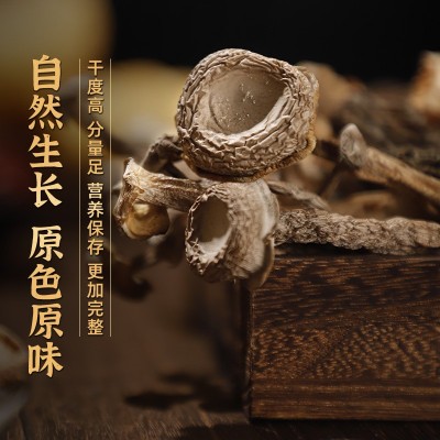 【产地直发】鹿茸菇干货5斤散货鹿茸菌10斤特产级脆脆菇厂家批发图2