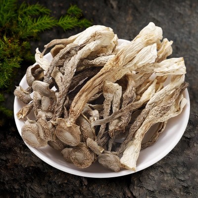 【产地直发】鹿茸菇干货5斤散货鹿茸菌10斤特产级脆脆菇厂家批发图3