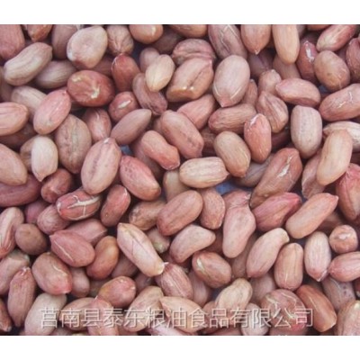 花生仁图3