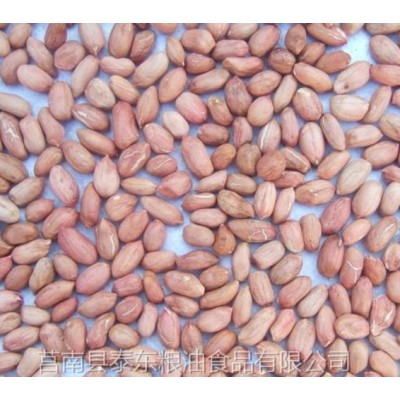 花生仁图4