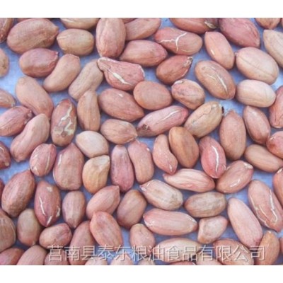 花生米图2