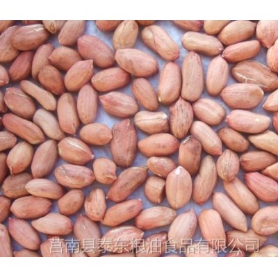 花生米图4