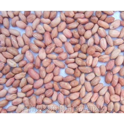 花生米图3
