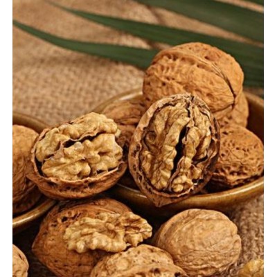 本地笨核桃仁-特价批发供应果仁饱满营养丰富图2