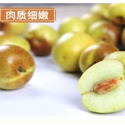 鲜山东冬枣图2