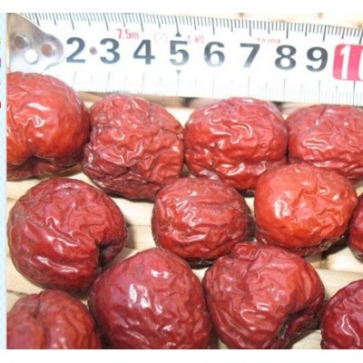 山东大枣元红大枣产地批发商图5