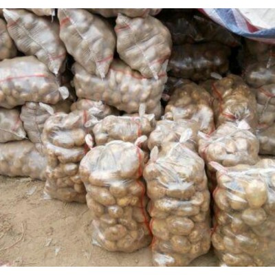 土豆直销神池土豆晋薯16号个大皮薄芽眼浅图4