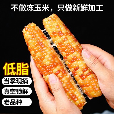 西双版纳拇指小玉米批发新鲜糯玉米香糯小玉米花糯玉米低脂健康图4