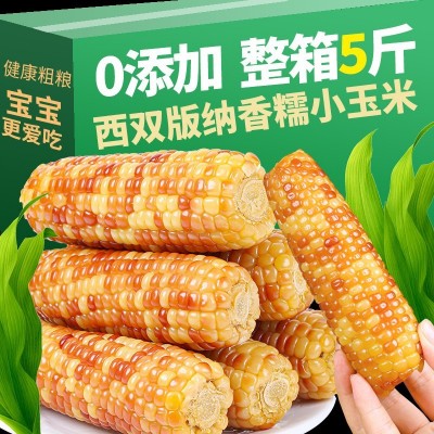 西双版纳拇指小玉米批发新鲜糯玉米香糯小玉米花糯玉米低脂健康图5