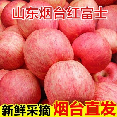 山东烟台红富士苹果生鲜水果新鲜应季脆甜整箱批发【全年供应】图2