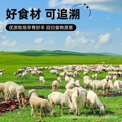 内蒙古红柳枝羔羊羊肉串纯羊肉户外烧烤半成品商用批发40g图3