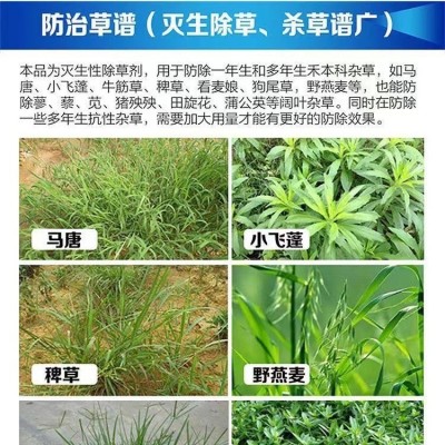 正品开荒锄精喹禾灵袋装15.8%油菜田杂草除草剂批发价包邮禾本科图3