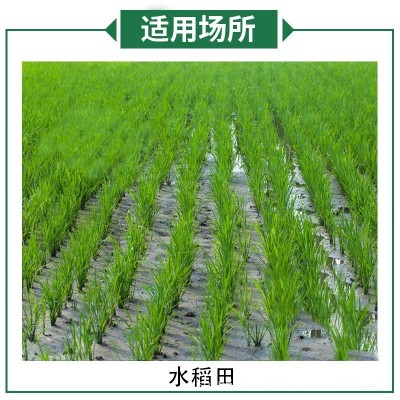 植物生长调节剂烯效唑整箱批发价水稻生长调节保护作物农用正品图2