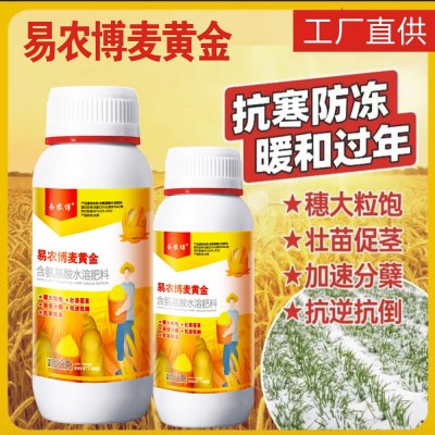小麦高产麦黄金灌浆返青生根壮苗分蘖抗倒伏专用增产叶面肥农用图2