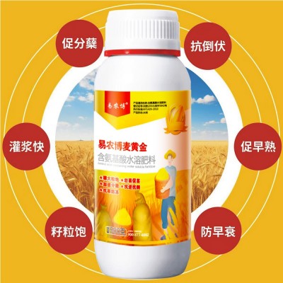 小麦高产麦黄金灌浆返青生根壮苗分蘖抗倒伏专用增产叶面肥农用图4