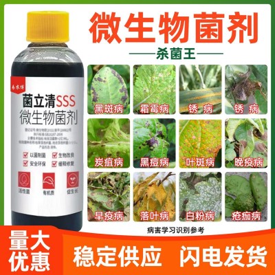 万能杀菌剂细菌病毒病早晚疫病霜霉病白粉病灰霉病稻瘟病锈病肥料图4