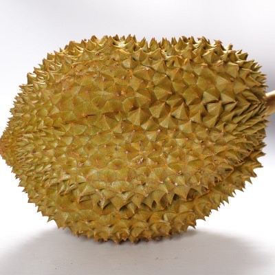 【严选】进口泰国金枕榴莲 批发10斤应季新鲜香甜糯果肉热带水图3