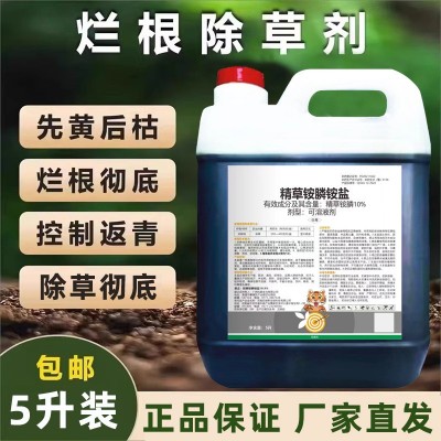 精草铵膦铵盐除草剂荒地牛筋草恶性杂草烂根剂精草铵磷正品农药图2