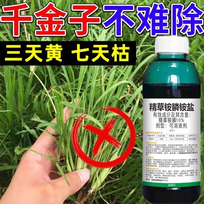 精草铵膦铵盐除草剂荒地牛筋草恶性杂草烂根剂精草铵磷正品农药图4