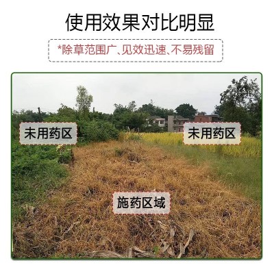 95%草甘膦除草剂草甘磷除草烂根剂正品除杂草一扫光农药图2