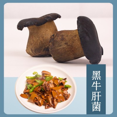 云南新鲜菌菇蘑菇组合1公斤礼盒装黑牛肝小香菇黑皮鸡枞鹿茸金耳图2