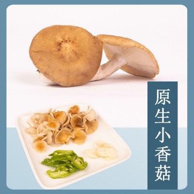 云南新鲜菌菇蘑菇组合1公斤礼盒装黑牛肝小香菇黑皮鸡枞鹿茸金耳图4